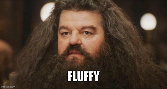 Hagrid | FLUFFY | image tagged in hagrid | made w/ Imgflip meme maker