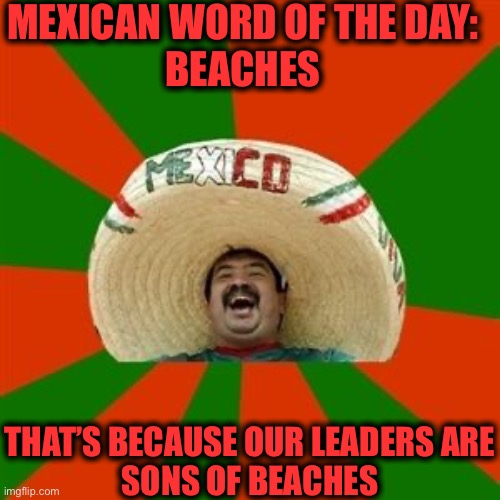 succesful mexican | MEXICAN WORD OF THE DAY:
BEACHES THAT’S BECAUSE OUR LEADERS ARE
SONS OF BEACHES | image tagged in succesful mexican | made w/ Imgflip meme maker