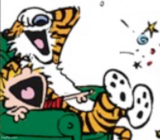 Calvin and Hobbes laugh | image tagged in calvin and hobbes laugh | made w/ Imgflip meme maker