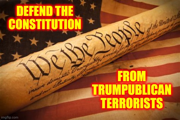 The Constitution and the Flag, each greater than any one person | DEFEND THE CONSTITUTION; FROM TRUMPUBLICAN TERRORISTS | image tagged in the constitution and the flag each greater than any one person,memes,democracy,trumpublican terrorists,lock them up | made w/ Imgflip meme maker