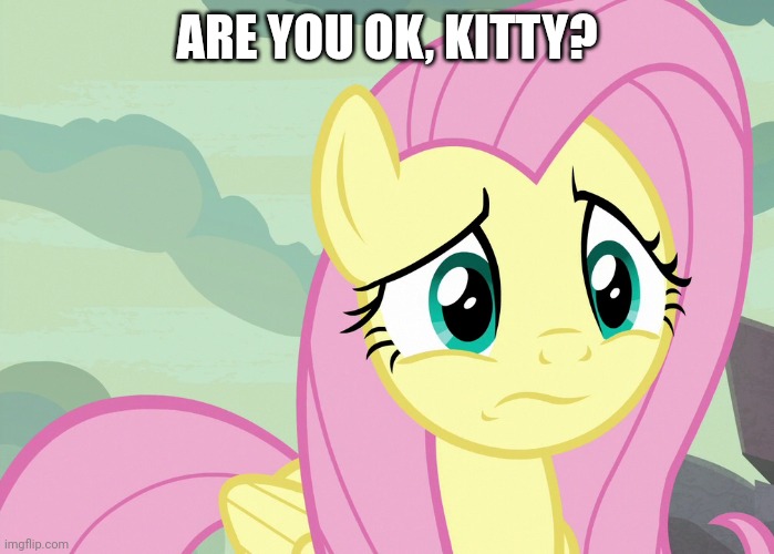 Fluttershy Was Puzzled (MLP) | ARE YOU OK, KITTY? | image tagged in fluttershy was puzzled mlp | made w/ Imgflip meme maker