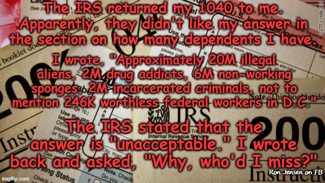 How Many??? | The IRS returned my 1040 to me. Apparently, they didn't like my answer in the section on how many dependents I have. I wrote, "Approximately 20M illegal aliens, 2M drug addicts, 6M non-working sponges, 2M incarcerated criminals, not to mention 246K worthless federal workers in D.C."; The IRS stated that the answer is "unacceptable." I wrote back and asked, "Why, who'd I miss?"; Ron Jensen on FB | image tagged in taxes,income taxes,tax refund,us government,washington dc | made w/ Imgflip meme maker
