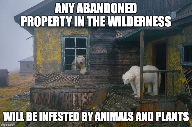 Abandoned Weather Station in the North Pole | ANY ABANDONED PROPERTY IN THE WILDERNESS; WILL BE INFESTED BY ANIMALS AND PLANTS | image tagged in memes,polar bear | made w/ Imgflip meme maker