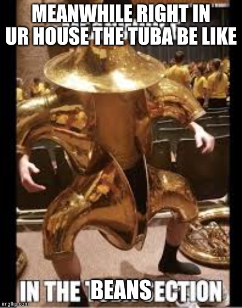 bruh the tubas be like | MEANWHILE RIGHT IN UR HOUSE THE TUBA BE LIKE; BEANS | image tagged in casually approach child grasp child firmly yeet the child | made w/ Imgflip meme maker