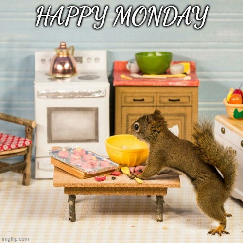 SQUIRREL | HAPPY MONDAY | image tagged in squirrel | made w/ Imgflip meme maker