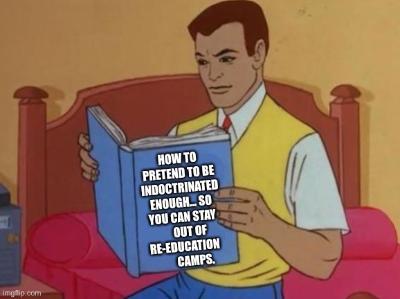 How To Pretend… | HOW TO PRETEND TO BE INDOCTRINATED ENOUGH… SO YOU CAN STAY       OUT OF RE-EDUCATION          CAMPS. | image tagged in peter parker reading book | made w/ Imgflip meme maker