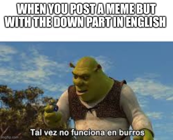 Tal vez no funciona en burros | WHEN YOU POST A MEME BUT WITH THE DOWN PART IN ENGLISH | image tagged in tal vez no funciona en burros | made w/ Imgflip meme maker