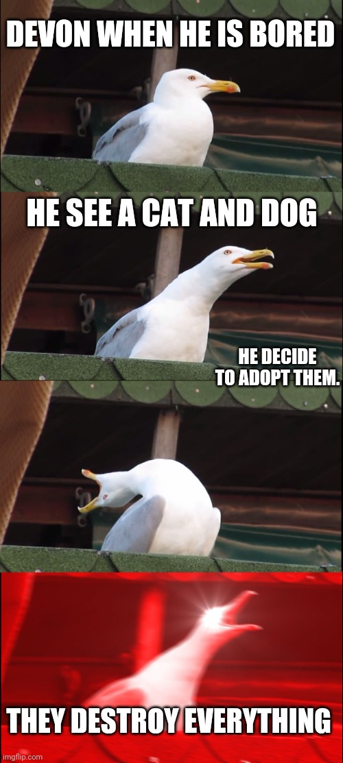 Devon Meme | DEVON WHEN HE IS BORED; HE SEE A CAT AND DOG; HE DECIDE TO ADOPT THEM. THEY DESTROY EVERYTHING | image tagged in memes,inhaling seagull | made w/ Imgflip meme maker