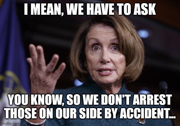 Good old Nancy Pelosi | I MEAN, WE HAVE TO ASK YOU KNOW, SO WE DON'T ARREST THOSE ON OUR SIDE BY ACCIDENT... | image tagged in good old nancy pelosi | made w/ Imgflip meme maker