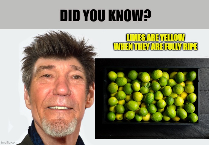 did you know | DID YOU KNOW? LIMES ARE YELLOW WHEN THEY ARE FULLY RIPE | made w/ Imgflip meme maker