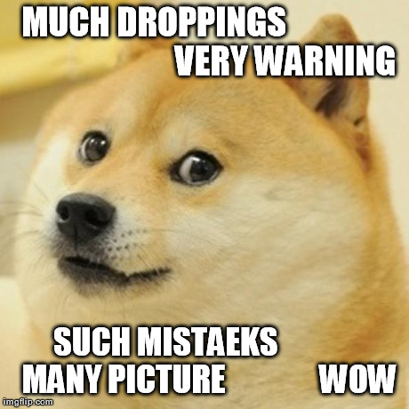Doge Meme | MUCH DROPPINGS
                                      
VERY WARNING SUCH MISTAEKS              MANY PICTURE               WOW | image tagged in memes,doge | made w/ Imgflip meme maker