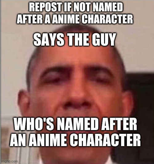 Says the guy who's named after an anime character | REPOST IF NOT NAMED AFTER A ANIME CHARACTER | image tagged in says the guy who's named after an anime character | made w/ Imgflip meme maker