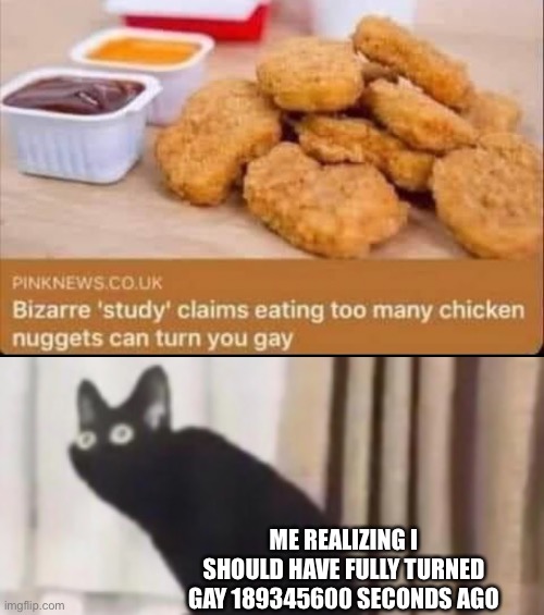ME REALIZING I SHOULD HAVE FULLY TURNED GAY 189345600 SECONDS AGO | image tagged in oh no cat | made w/ Imgflip meme maker