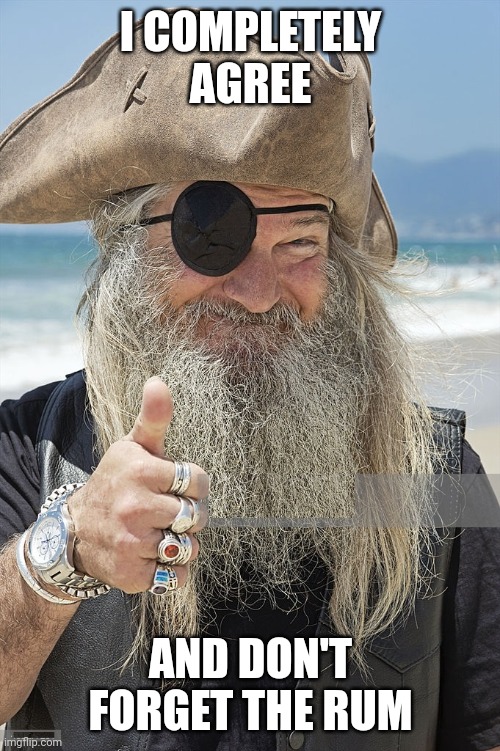 PIRATE THUMBS UP | I COMPLETELY AGREE AND DON'T FORGET THE RUM | image tagged in pirate thumbs up | made w/ Imgflip meme maker
