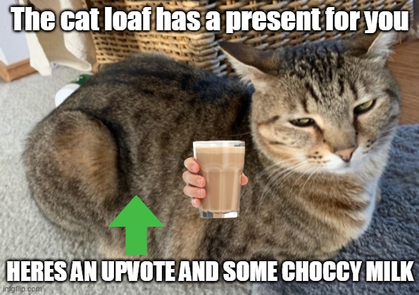 Cat loaf | The cat loaf has a present for you; HERES AN UPVOTE AND SOME CHOCCY MILK | image tagged in cat loaf | made w/ Imgflip meme maker