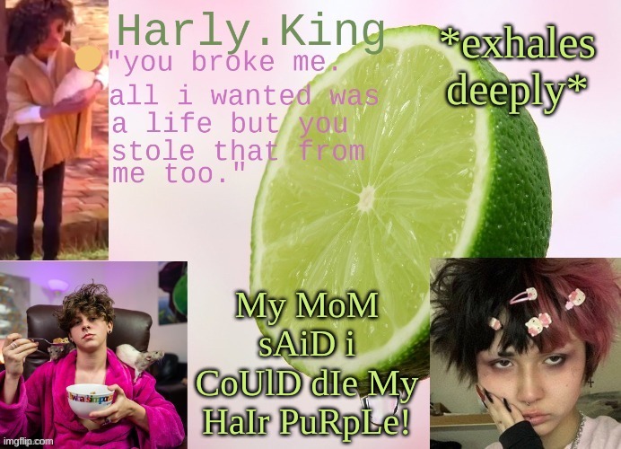 temp by tripp | *exhales deeply*; My MoM sAiD i CoUlD dIe My HaIr PuRpLe! | image tagged in temp by tripp | made w/ Imgflip meme maker