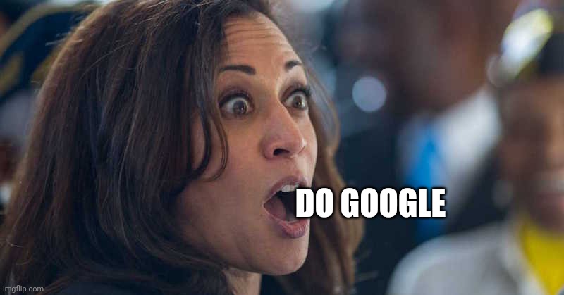 kamala harriss | DO GOOGLE | image tagged in kamala harriss | made w/ Imgflip meme maker