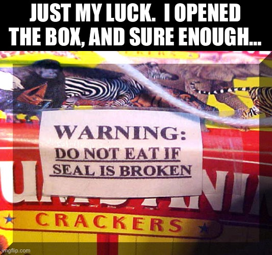Broken seal | JUST MY LUCK.  I OPENED THE BOX, AND SURE ENOUGH… | image tagged in bad pun | made w/ Imgflip meme maker