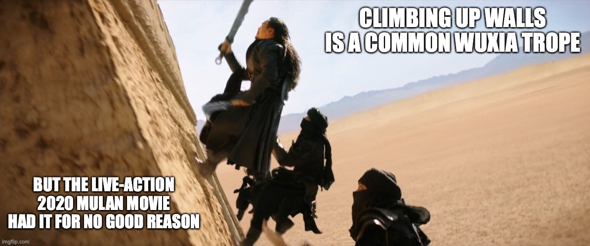 Live-Action 2020 Mulan Movie Wall-Climbing Scene | CLIMBING UP WALLS IS A COMMON WUXIA TROPE; BUT THE LIVE-ACTION 2020 MULAN MOVIE HAD IT FOR NO GOOD REASON | image tagged in wall,trope,memes,mulan | made w/ Imgflip meme maker