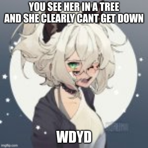 romance rp? | YOU SEE HER IN A TREE AND SHE CLEARLY CANT GET DOWN; WDYD | made w/ Imgflip meme maker