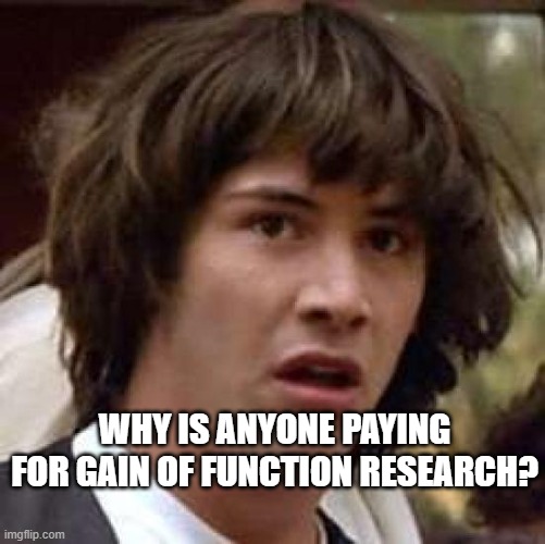 Conspiracy Keanu Meme | WHY IS ANYONE PAYING FOR GAIN OF FUNCTION RESEARCH? | image tagged in memes,conspiracy keanu | made w/ Imgflip meme maker