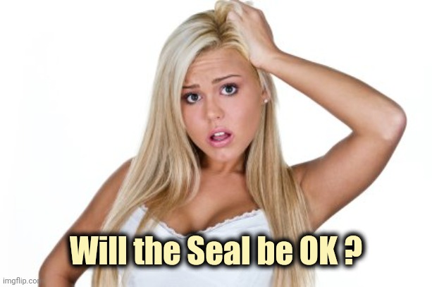Dumb Blonde | Will the Seal be OK ? | image tagged in dumb blonde | made w/ Imgflip meme maker