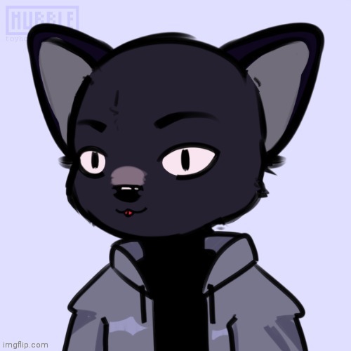 meow | made w/ Imgflip meme maker