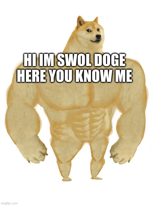 swol doge here | HI IM SWOL DOGE HERE YOU KNOW ME | image tagged in swole doge | made w/ Imgflip meme maker