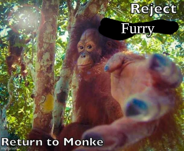 Return to monke | Furry | image tagged in return to monke | made w/ Imgflip meme maker