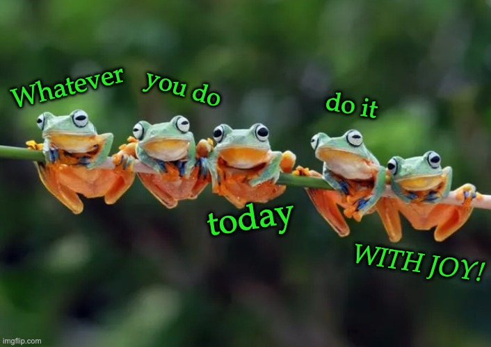 Also, got any flies? Happy MLK Day! | you do; Whatever; do it; today; WITH JOY! | image tagged in five frogs,frogs,joy | made w/ Imgflip meme maker