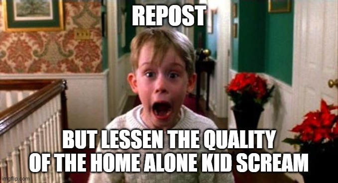 Kevin Home Alone | REPOST; BUT LESSEN THE QUALITY OF THE HOME ALONE KID SCREAM | image tagged in kevin home alone | made w/ Imgflip meme maker