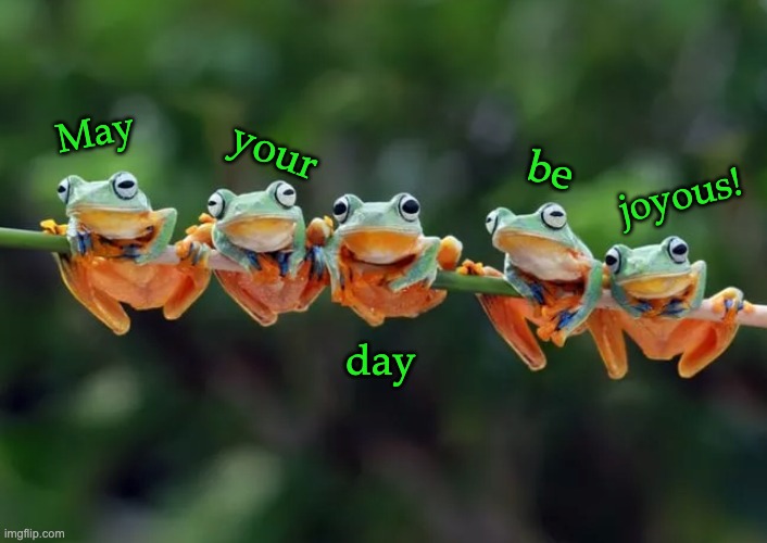 Hello! |  May; your; be; joyous! day | image tagged in five frogs,frogs,joy | made w/ Imgflip meme maker
