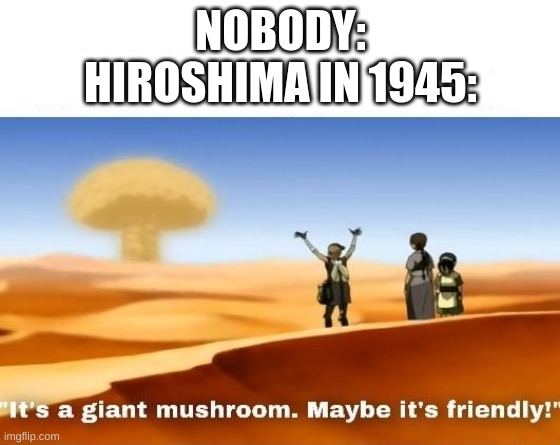 At Least There Was Only One! | NOBODY:
HIROSHIMA IN 1945: | image tagged in offensive,avatar the last airbender | made w/ Imgflip meme maker