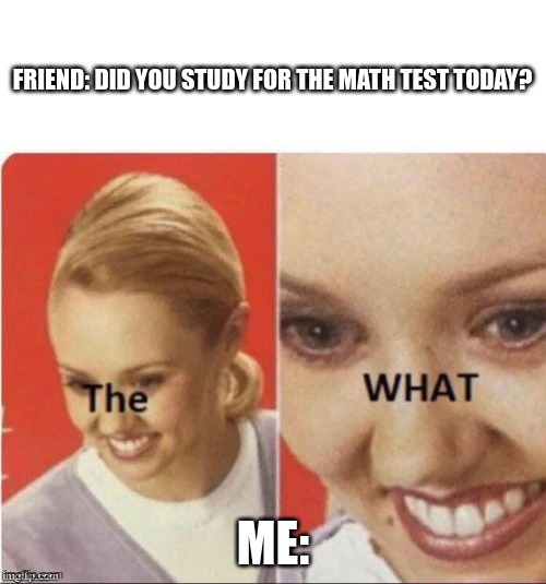 Oh boy | FRIEND: DID YOU STUDY FOR THE MATH TEST TODAY? ME: | image tagged in the what | made w/ Imgflip meme maker
