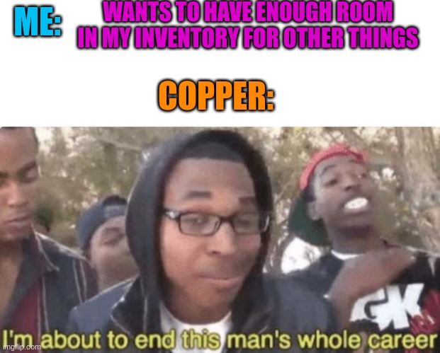 coppa | WANTS TO HAVE ENOUGH ROOM IN MY INVENTORY FOR OTHER THINGS; ME:; COPPER: | image tagged in i am about to end this man s whole career | made w/ Imgflip meme maker