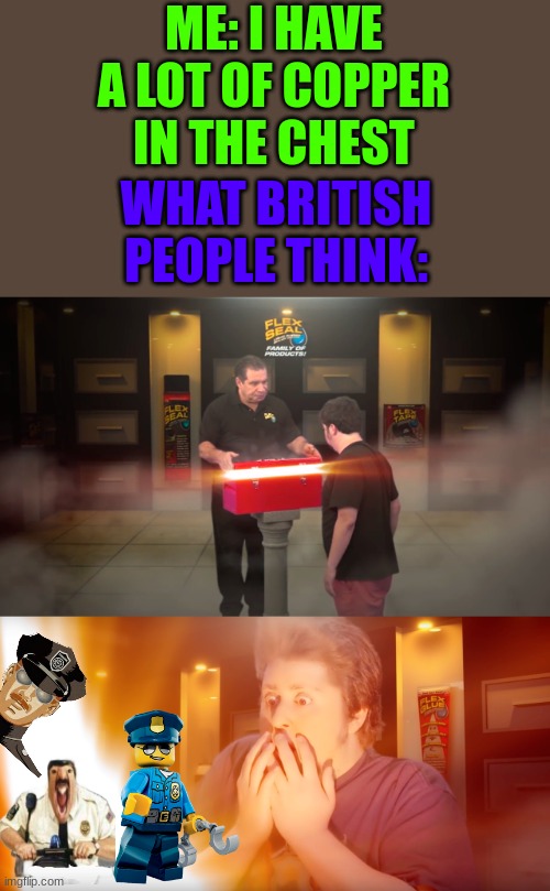 copper | ME: I HAVE A LOT OF COPPER IN THE CHEST; WHAT BRITISH PEOPLE THINK: | image tagged in treasure chest,copper,minecraft,gifs,gif | made w/ Imgflip meme maker