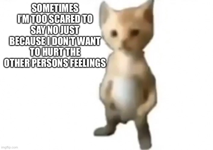 SOMETIMES I’M TOO SCARED TO SAY NO JUST BECAUSE I DON’T WANT TO HURT THE OTHER PERSONS FEELINGS | made w/ Imgflip meme maker