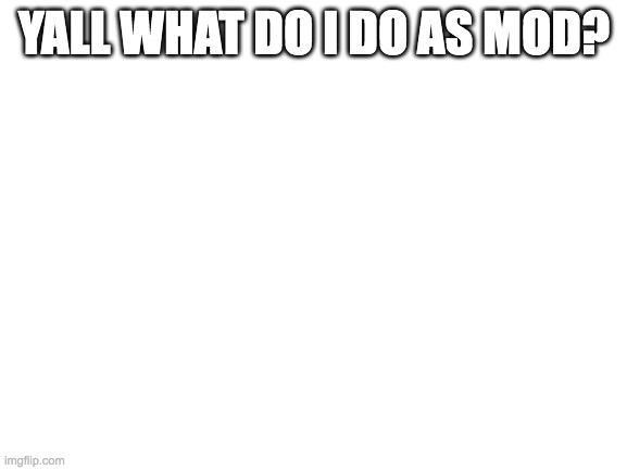 :( | YALL WHAT DO I DO AS MOD? | image tagged in blank white template | made w/ Imgflip meme maker