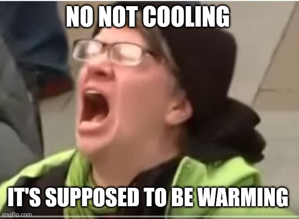 Screaming Liberal | NO NOT COOLING IT'S SUPPOSED TO BE WARMING | image tagged in screaming liberal | made w/ Imgflip meme maker