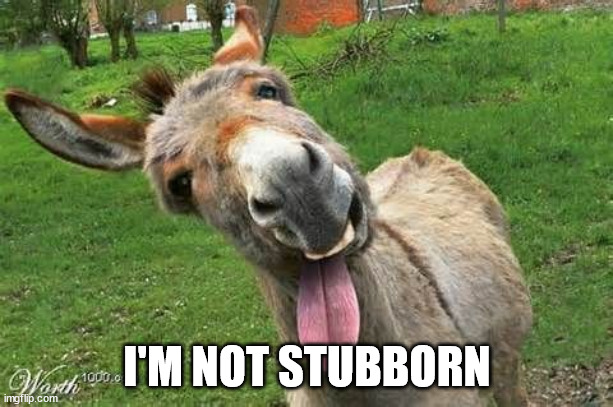 Laughing Donkey | I'M NOT STUBBORN | image tagged in laughing donkey | made w/ Imgflip meme maker
