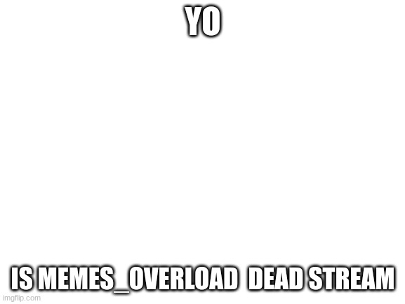 Blank White Template | YO; IS MEMES_OVERLOAD  DEAD STREAM | image tagged in blank white template | made w/ Imgflip meme maker