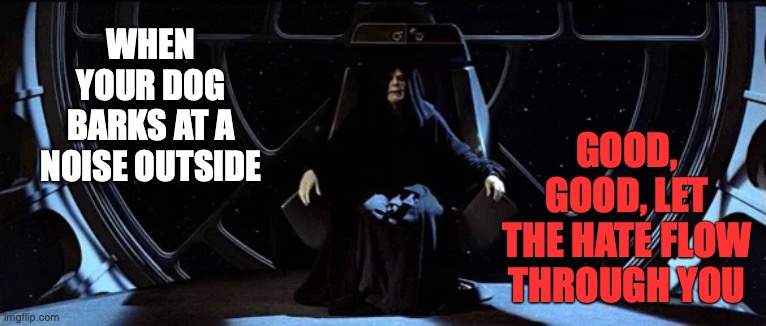 Darkside Dog | GOOD, GOOD, LET THE HATE FLOW THROUGH YOU; WHEN YOUR DOG BARKS AT A NOISE OUTSIDE | image tagged in palpatine,starwars,dog,hate,jedi,darkside | made w/ Imgflip meme maker