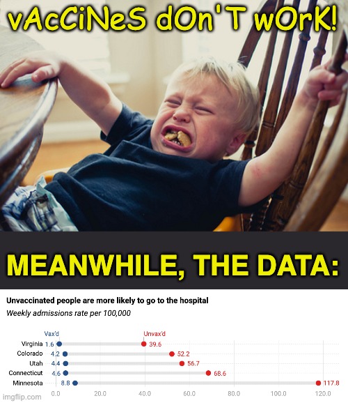 Keeping you out of the hospital 10 to 20 times more IS working | vAcCiNeS dOn'T wOrK! MEANWHILE, THE DATA: | image tagged in toddler tantrum,vaccines,misinformation,hospital,math | made w/ Imgflip meme maker