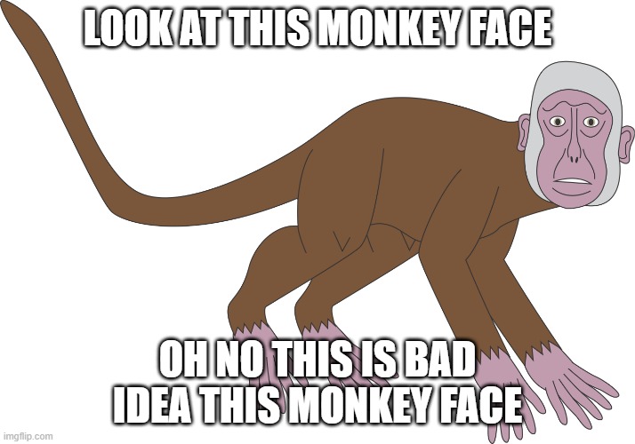 The Weird Monkey Face | LOOK AT THIS MONKEY FACE; OH NO THIS IS BAD IDEA THIS MONKEY FACE | image tagged in monkeys,monkey faces,deviantart | made w/ Imgflip meme maker