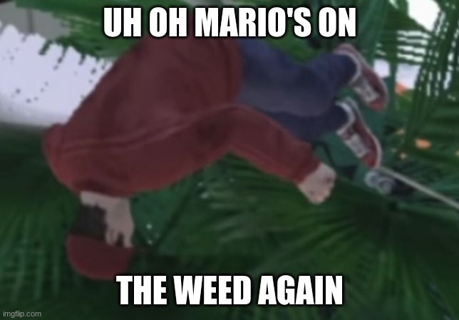 UH OH MARIO ON DA WEED.. AND AGAIN. | UH OH MARIO'S ON; THE WEED AGAIN | image tagged in mario memes | made w/ Imgflip meme maker