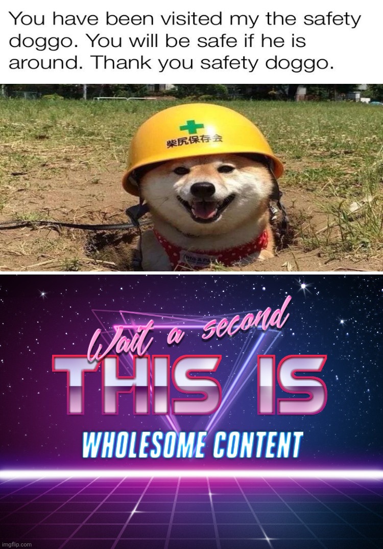 Safety Doggo | image tagged in wait a second this is wholesome content,dogs,animals,memes,gifs,barney will eat all of your delectable biscuits | made w/ Imgflip meme maker