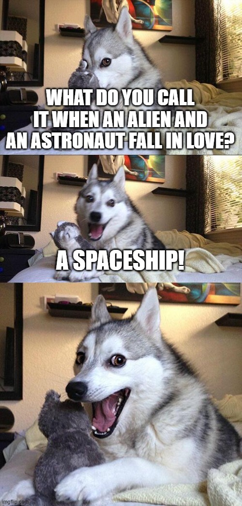 A spaceship | WHAT DO YOU CALL IT WHEN AN ALIEN AND AN ASTRONAUT FALL IN LOVE? A SPACESHIP! | image tagged in memes,bad pun dog,aliens,shipping,astronaut | made w/ Imgflip meme maker