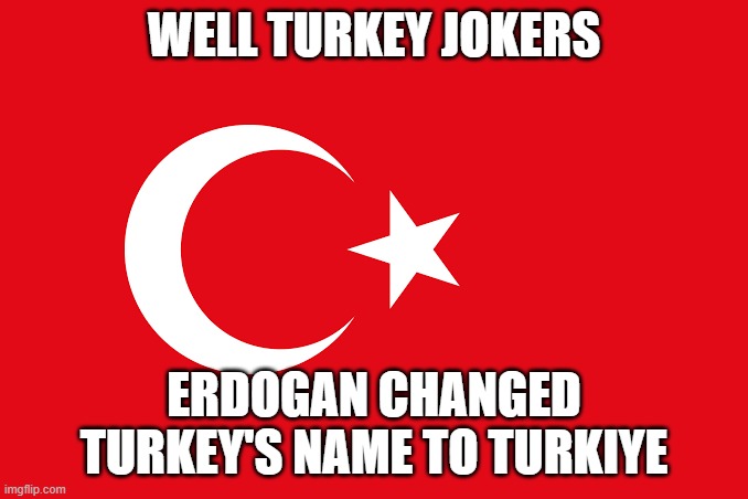 Great, JUST GREAT | WELL TURKEY JOKERS; ERDOGAN CHANGED TURKEY'S NAME TO TURKIYE | image tagged in flag of turkey | made w/ Imgflip meme maker