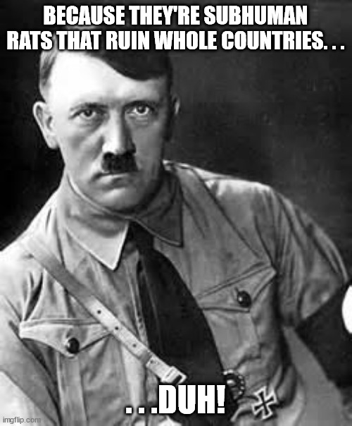 Adolf Hitler | BECAUSE THEY'RE SUBHUMAN RATS THAT RUIN WHOLE COUNTRIES. . . . . .DUH! | image tagged in adolf hitler | made w/ Imgflip meme maker