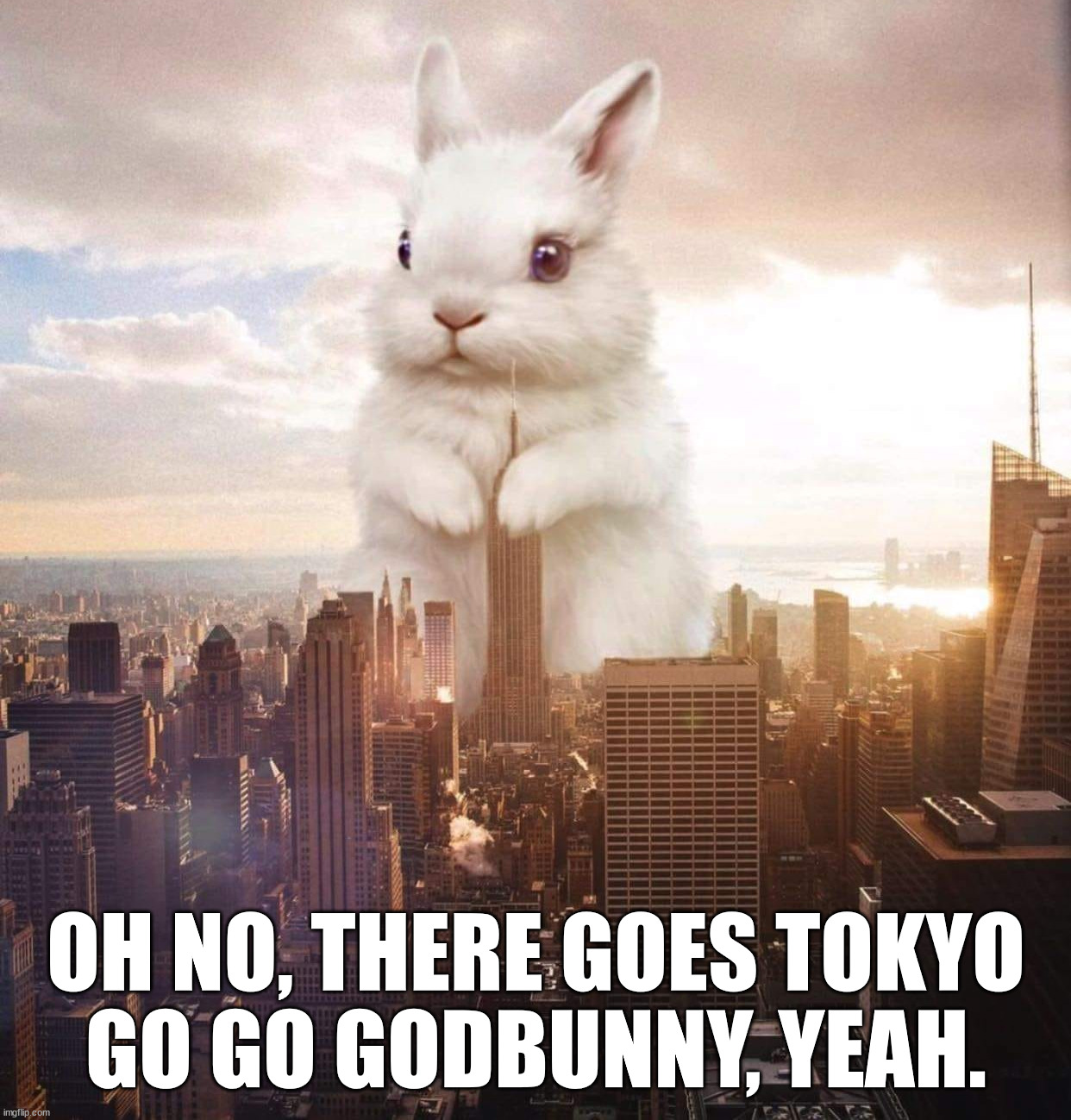  OH NO, THERE GOES TOKYO
GO GO GODBUNNY, YEAH. | image tagged in bunny | made w/ Imgflip meme maker